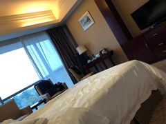 -张家界大成山水国际大酒店