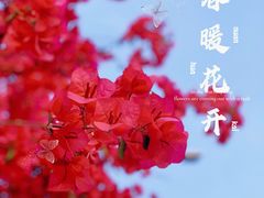 -中国建设银行(成都双林支行)