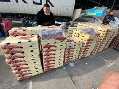 -东方鼎信农副产品交易中心