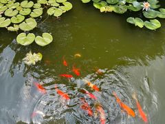 -苏州文旅花间堂·探花府酒店