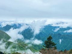 -神农架景区