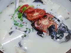 -全乐鱼馆·淳牌有机鱼直营店
