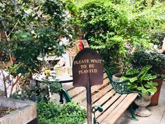 -The Grounds of Alexandria