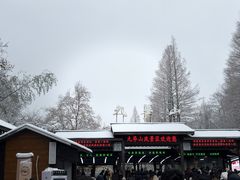 -九华山风景区