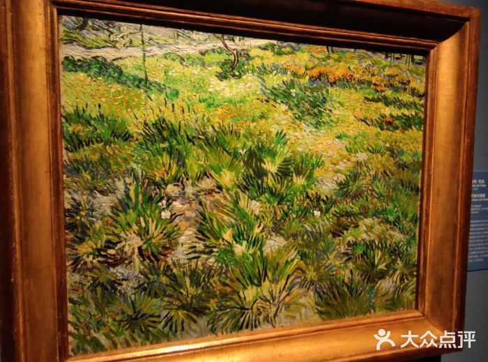 上海博物馆(人民广场馆)图片