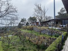 -南京市无想山景区