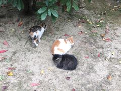 -海底捞火锅(亲子主题北金鹰店)