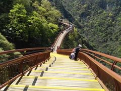 -少华山国家森林公园