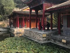 -《12·12》西安事变大型实景演出