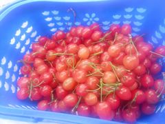 -西双版纳集贸市场