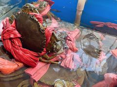 -华盛丰温州大排档(东三环南路店)