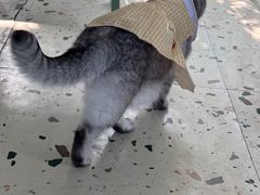 -小时光咖啡馆(北锣鼓巷店)