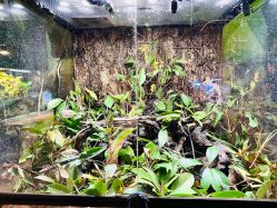 -酷嗒动物文化乐园(cutezoo西溪乐天城店)