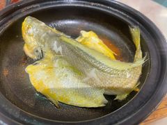 -大浪潮·潮汕菜·招牌生腌小青龙(福田店)