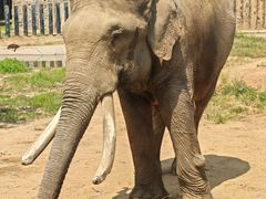 -济南野生动物世界