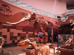 -陕西自然博物馆