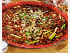 -东吴霸王兔(松青路店)