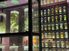 -广东中医药博物馆