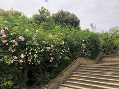 -水磨古镇
