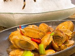 -欢乐海岸美食联盟