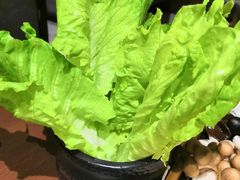 -快乐小羊·内蒙牛羊肉火锅(流花中心店)