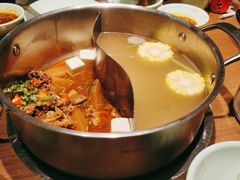 -掂档潮汕牛肉火锅(沈阳万象城店)