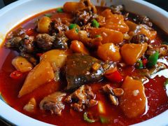 红烧甲鱼-青城甲(青城山店)