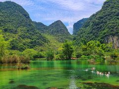 -靖西鹅泉风景区