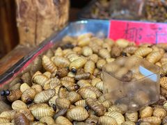 -昆虫窝子·特色云南菜(拓东路总店)