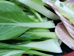 -菌之家·专业纯野生菌火锅·特色炒菌