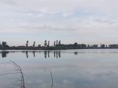 -蒲河岛湿地公园