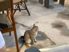 -长亭酒肆.武夷菜(鼓楼后海店)