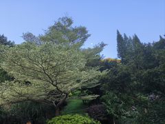 -深圳仙湖植物园