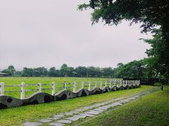 -瑞穗牧场