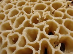 -老村长铁锅宴(航才路店)