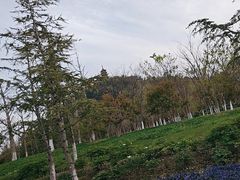 -狼山风景名胜区