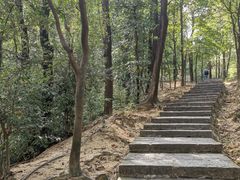 -火炉山森林公园