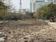 -莲湖公园
