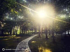 -中国浦东干部学院
