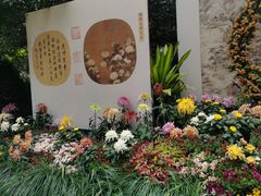 -杭州植物园