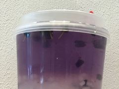-土豆哥(银石广场一店)