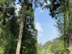 -缙云山景区