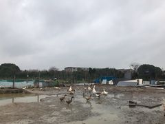 -两户人家农家乐