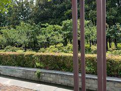 -洛阳市隋唐城遗址植物园