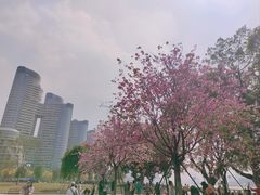 -洲头咀公园