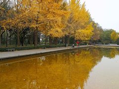 -玲珑塔公园