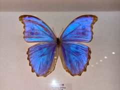 -艾溪湖湿地公园