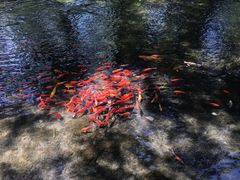 -水磨沟公园