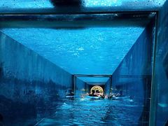 -亚特兰蒂斯水世界冒险乐园