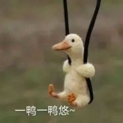 -凡碧诗毛孔收细
